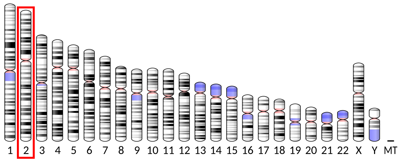 Methyl-CpG binding domain protein 5 图片 1