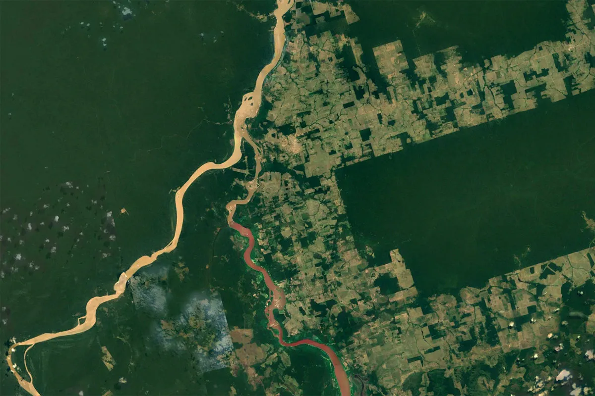 The Planet Now Has More Trees Than It Did 35 Years Ago (2018) 图片 1