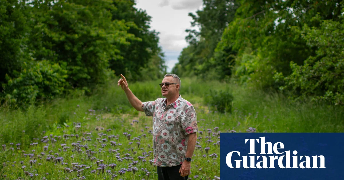 ‘Living laboratory’: Suffolk agroforestry farm seeks community ownership to survive 图片 1