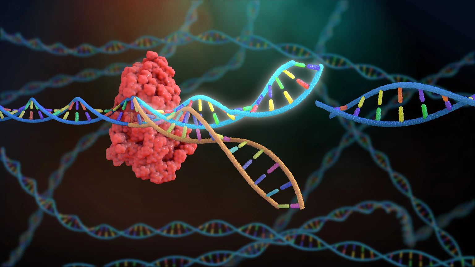 Korro Bio: RNA Editor Plots Way Back After AATD Study Fail - I'm Holding 图片 1