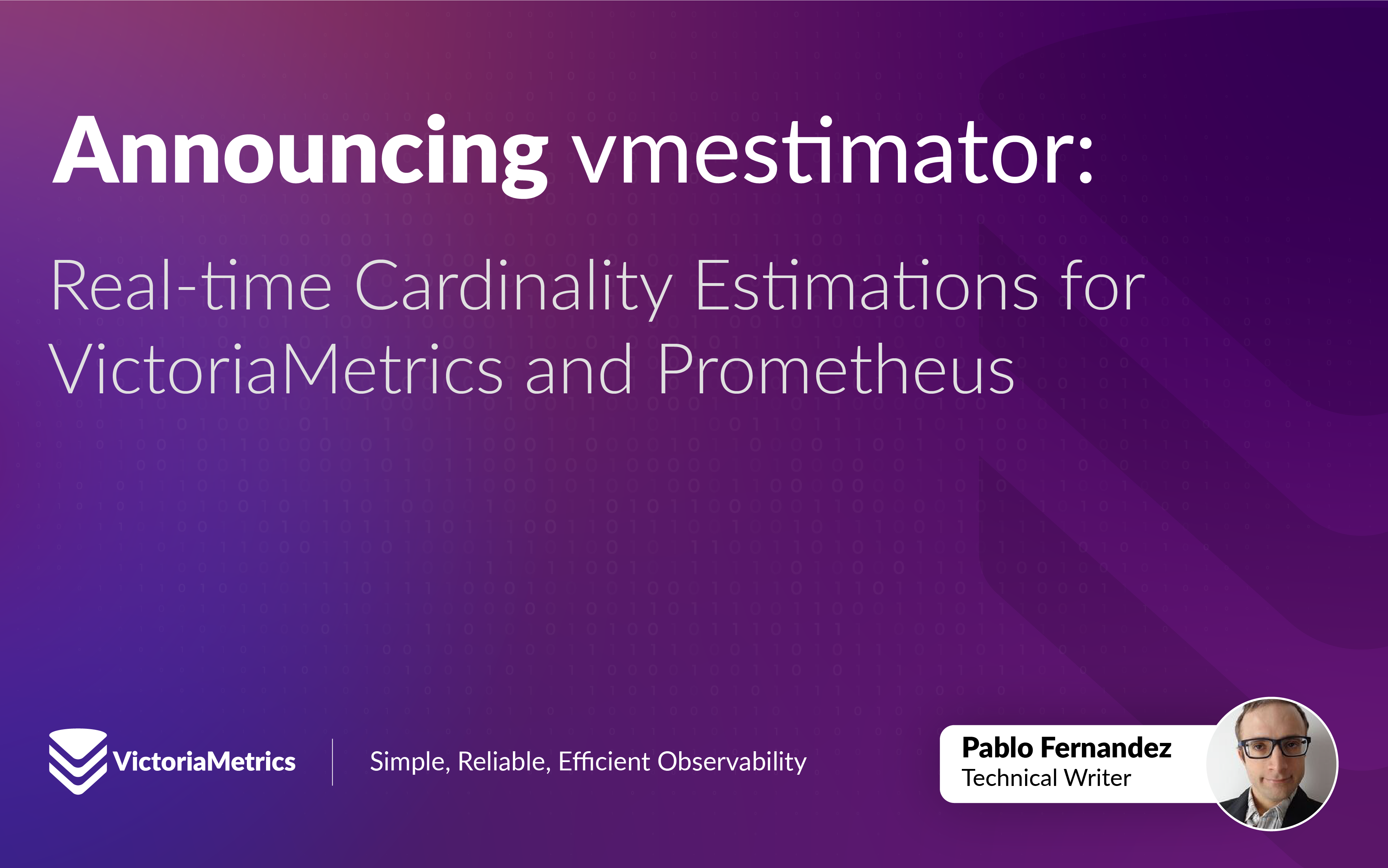 Announcing vmestimator: Real-time Cardinality Estimations for VictoriaMetrics and Prometheus 图片 1