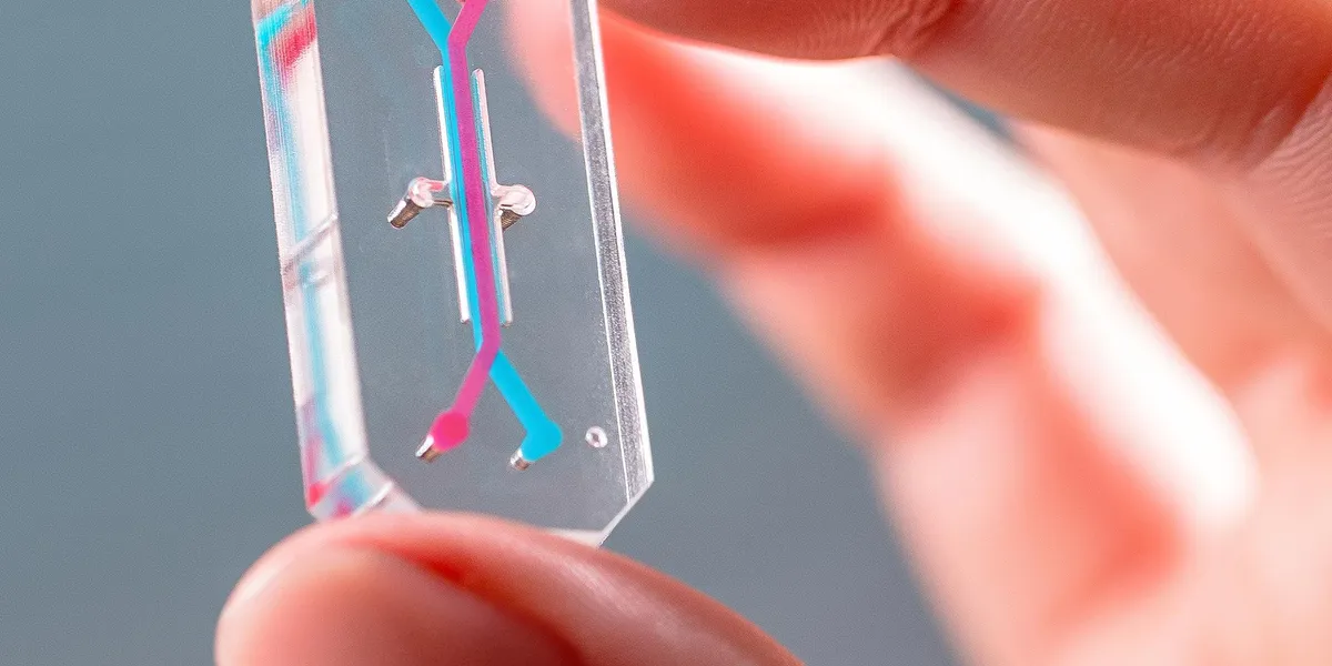 Alternatives to Animal Testing Are Finally Taking Off 图片 1