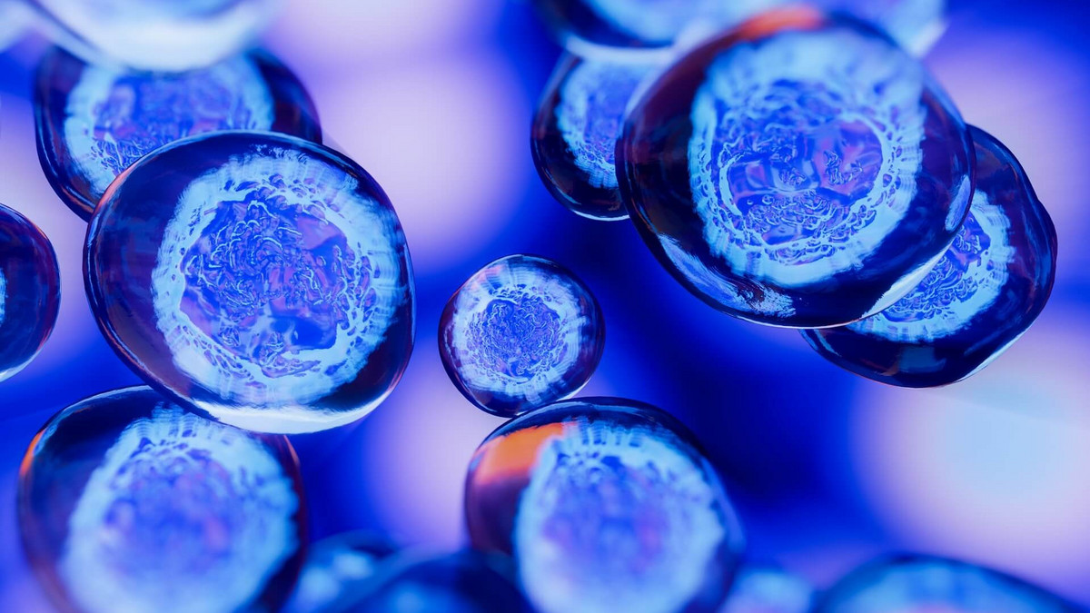 Embryos shape their limbs: a key discovery of "genetic brakes" 图片 1