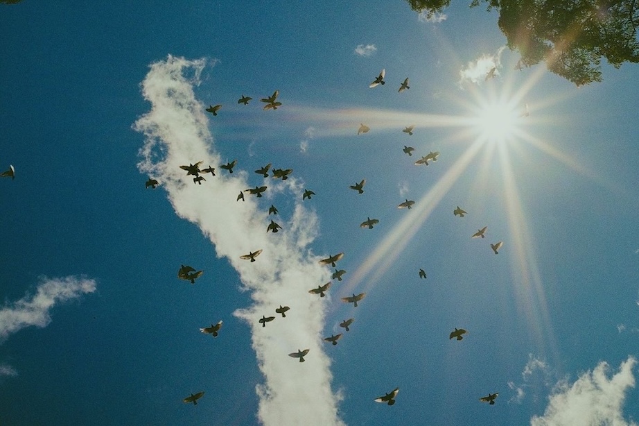 Flock Safety changes system defaults in response to criticisms 图片 1