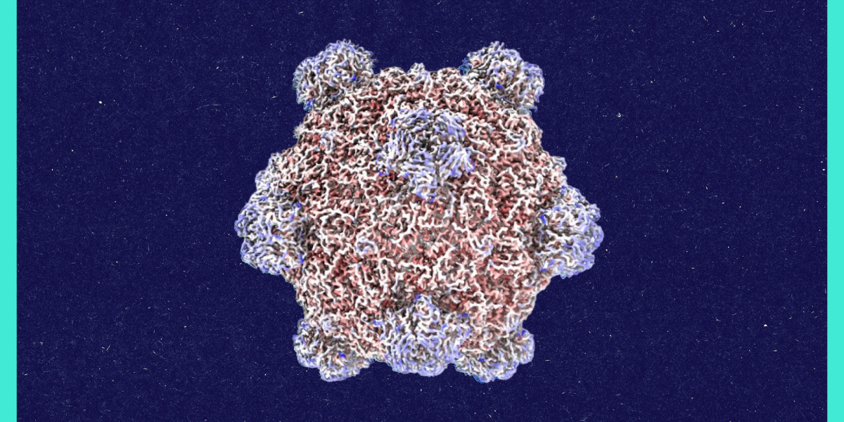 Roundtables: A Conversation with the Creator of AI-Designed Viruses 图片 1