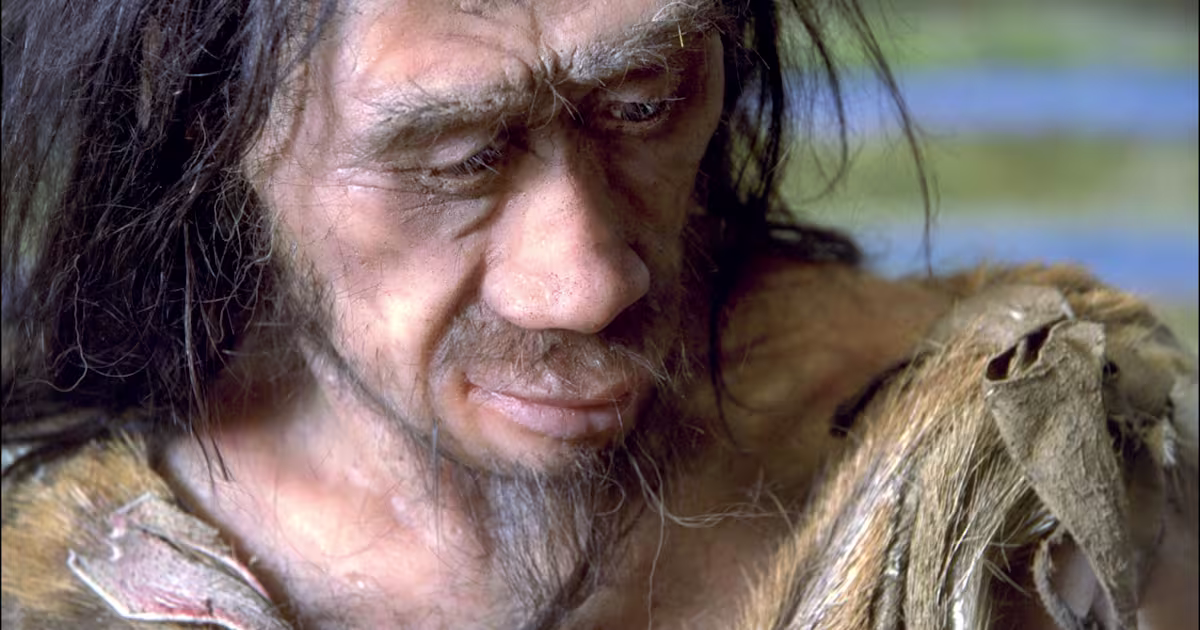 Early Humans Likely Ate Carbs and Sugary Foods 图片 1