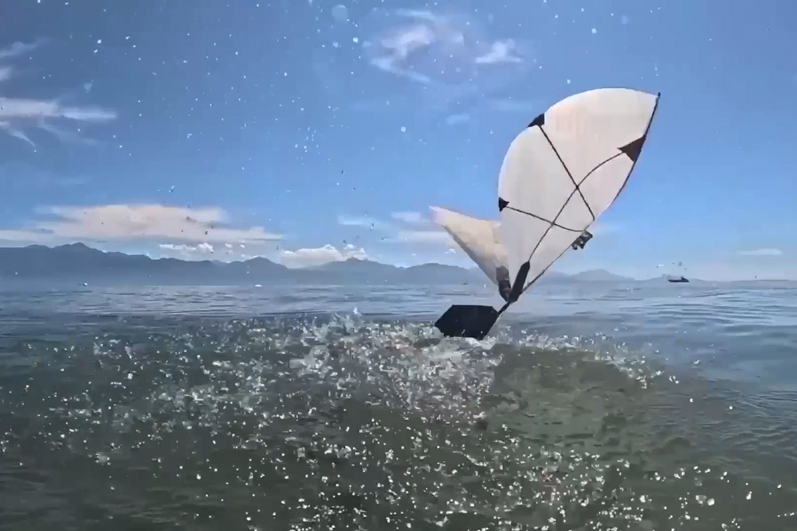 New flapping robot swims and flies like a diving bird 图片 1