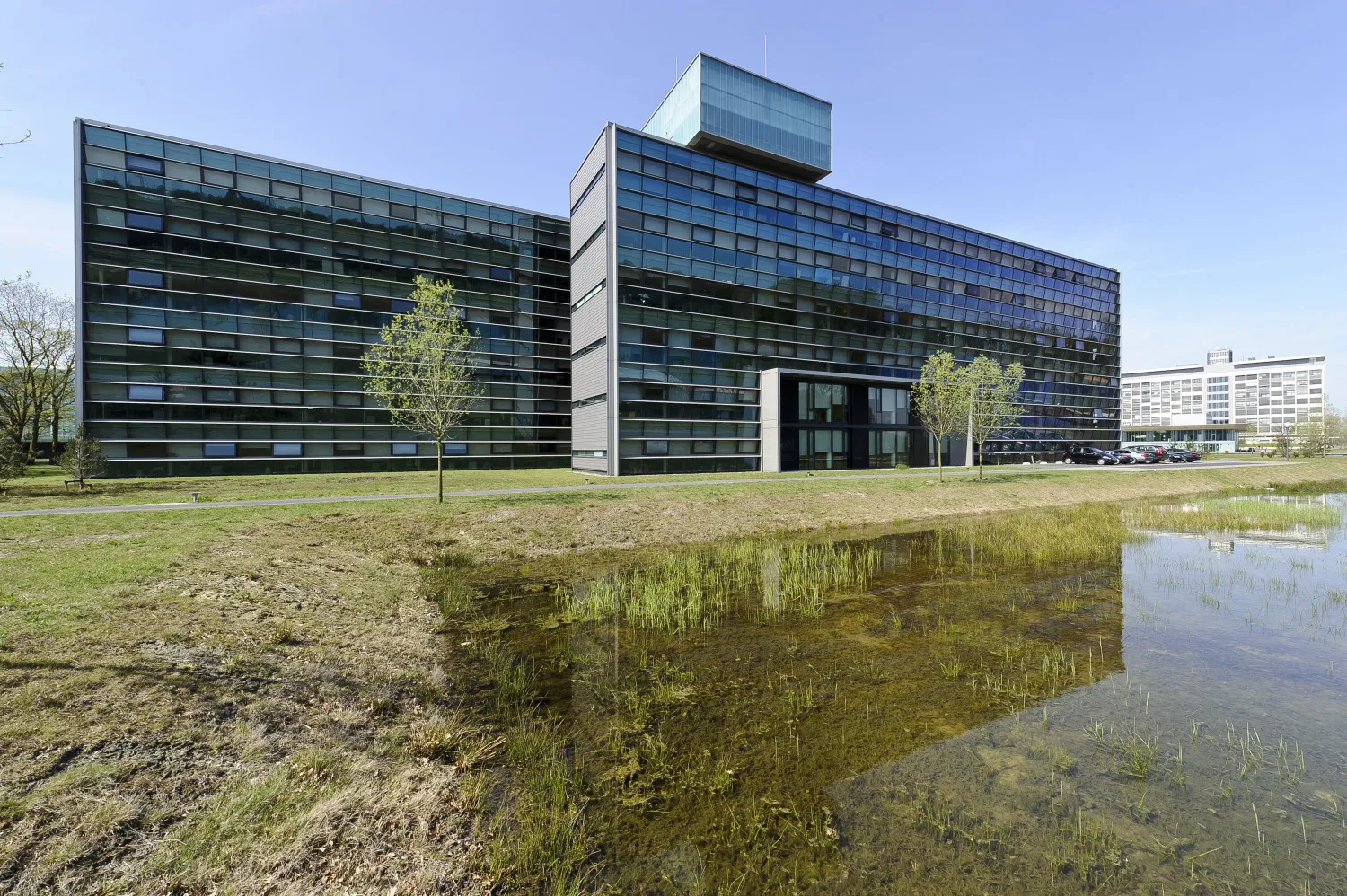 NXP’s Upbeat Revenue Forecast Fails to Impress Investors 图片 1
