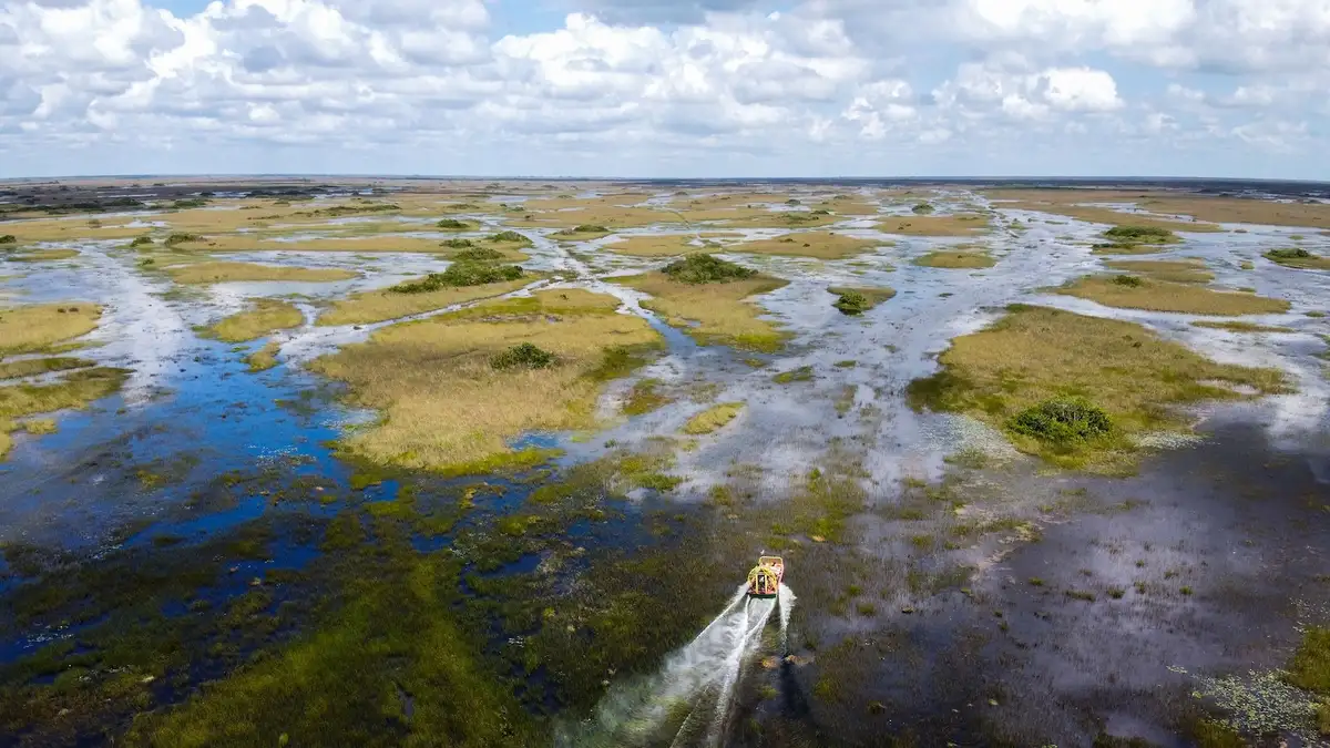Restoring the Flow: A Milestone in the Revival of the Everglades 图片 1