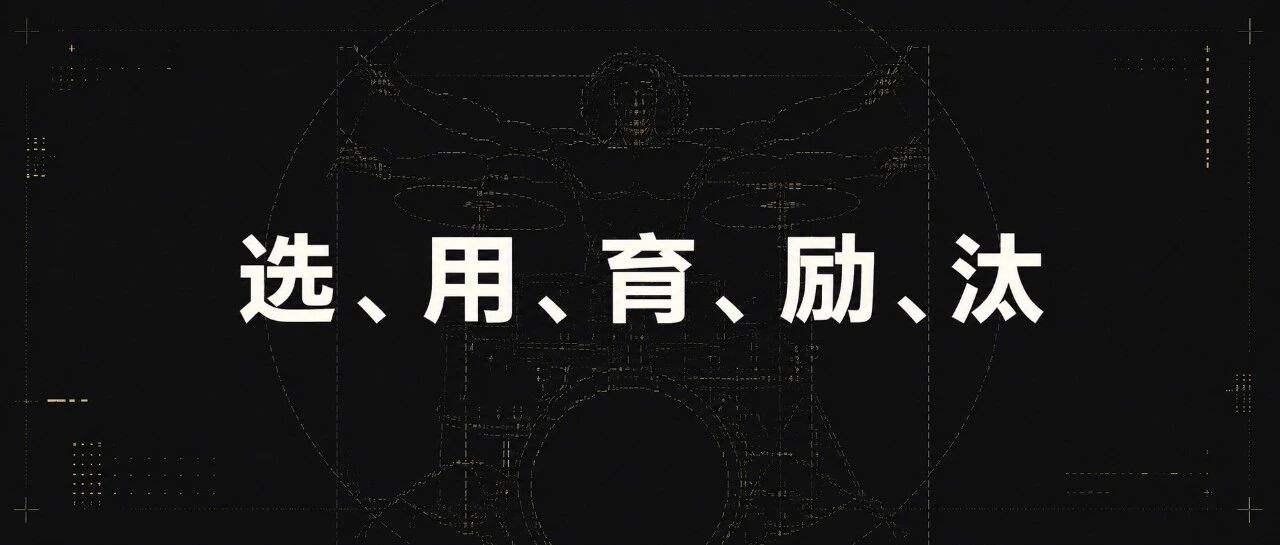 少有的深度参与过字节、美团组织建设的人｜42章经 图片 1