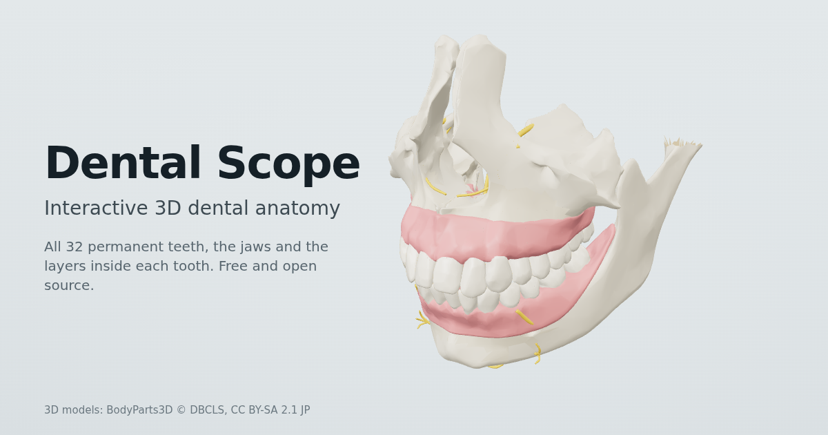 已构建 Dental Scope 图片 1