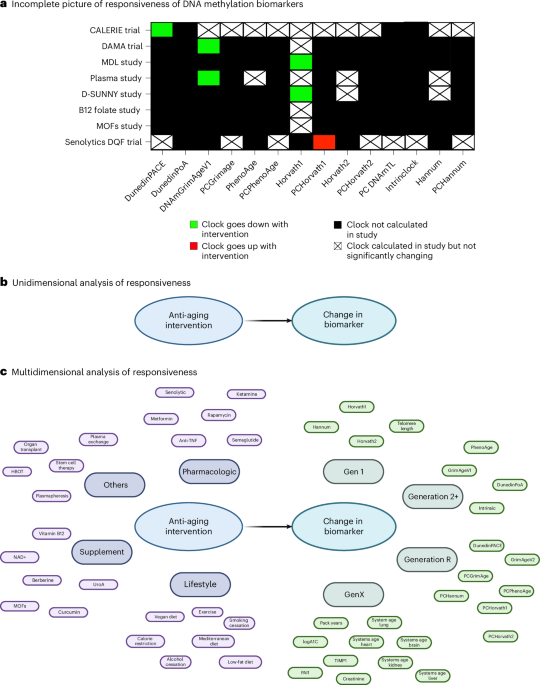 Response of epigenetic aging biomarkers to longevity interventions in humans 图片 1