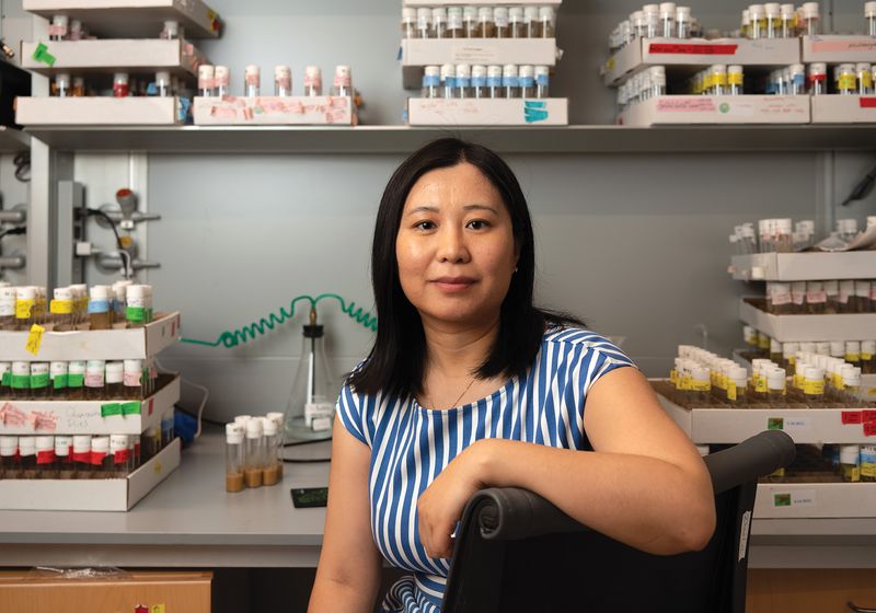 The Rise of De Novo Genes: From Scratch to Survival 图片 1