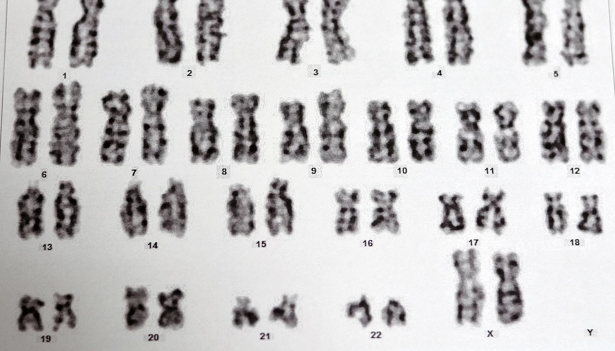 New human genome has almost no gaps 图片 1