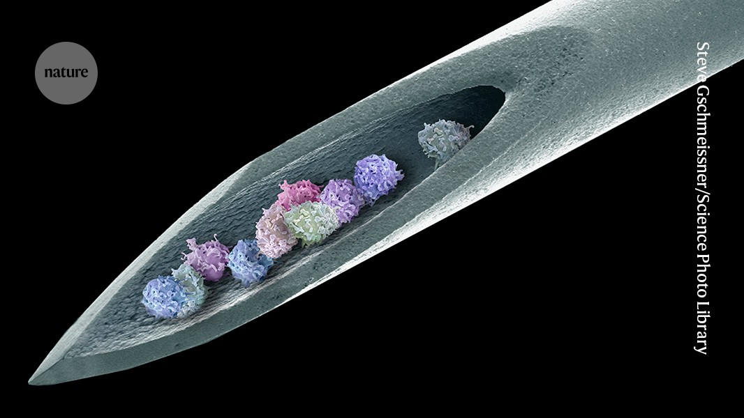 Stem cells banish severe autoimmune disease for 15 years 图片 1
