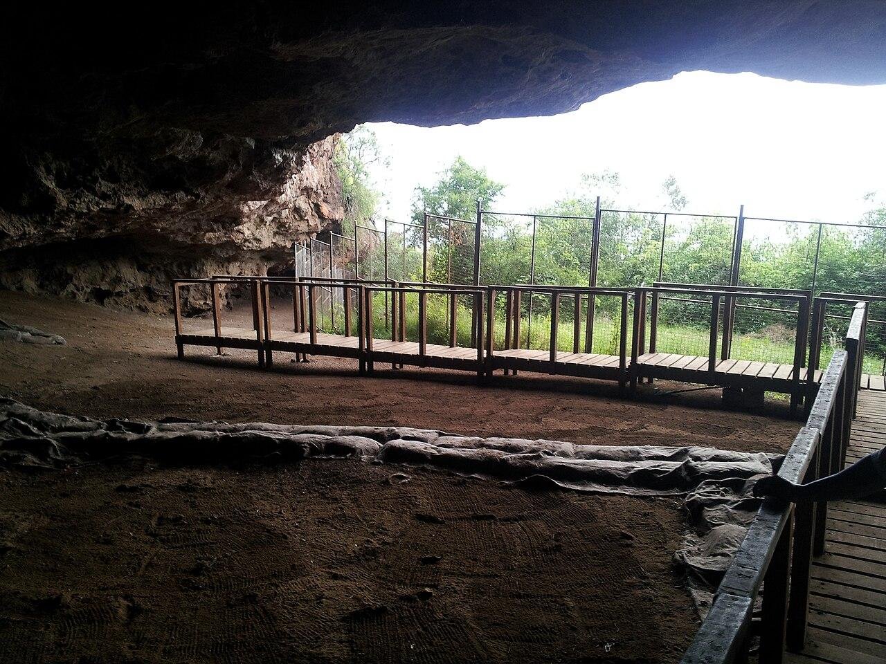 Stone Age humans built complex grass beds at Border Cave 200,000 years ago, study finds 图片 1