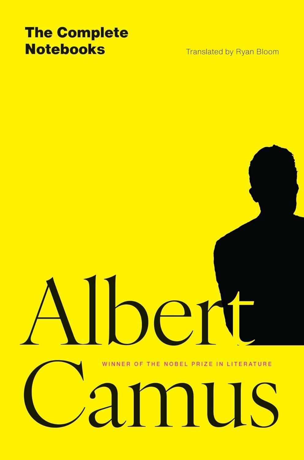 Fame! A Misunderstanding: A new translation of Albert Camus's complete notebooks 图片 1
