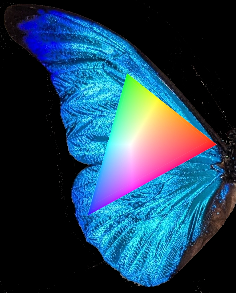 Where to Find the Colors Your Screen Can't Show You 图片 1