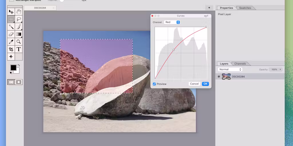 Mojave Paint 图片 1