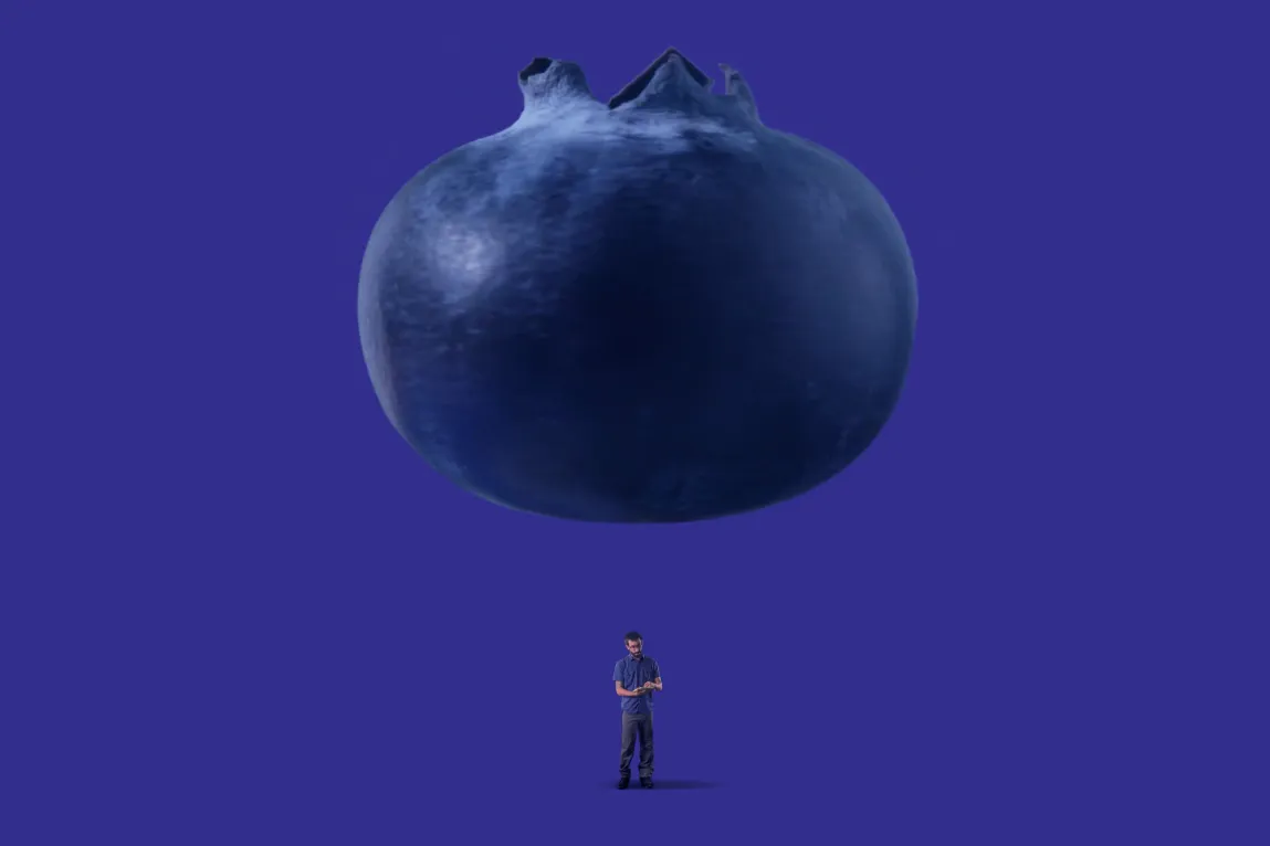 My Maddening Quest to Find Out if Blueberries Come From Farms Where Workers Were Harmed 图片 1