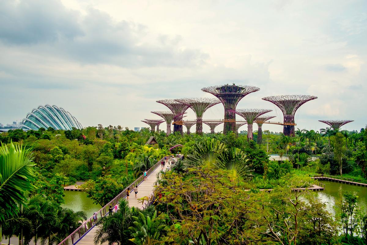 The Singapore Strategies 图片 1