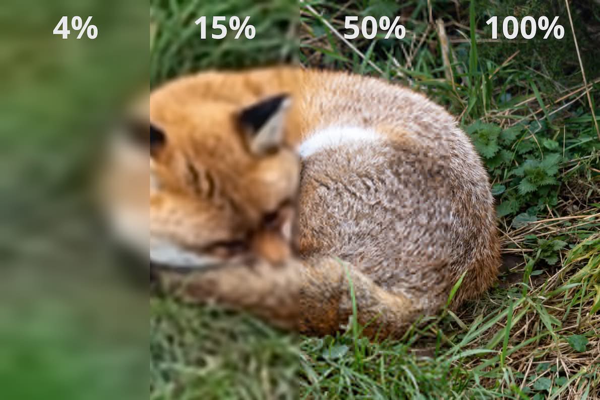 Firefox Intent to Ship: JPEG XL 图片 1