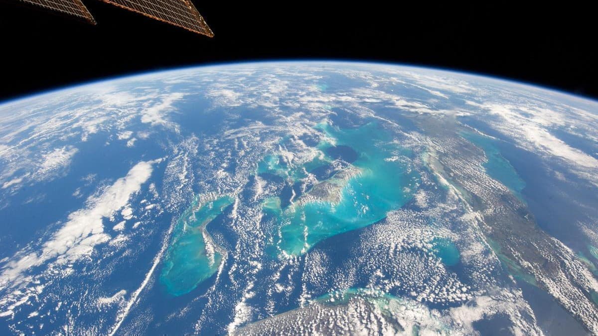 The Carbon Market Is Set for a Major Shake-Up 图片 1