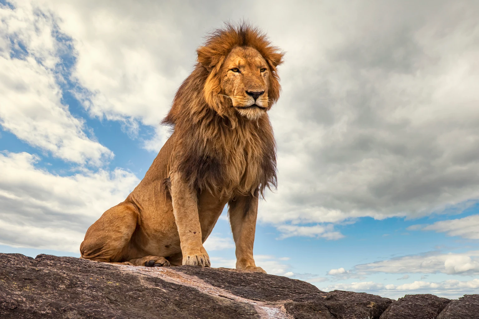 Lionsgate: M&A Rumors, Denials, And Where We Go From Here 图片 1