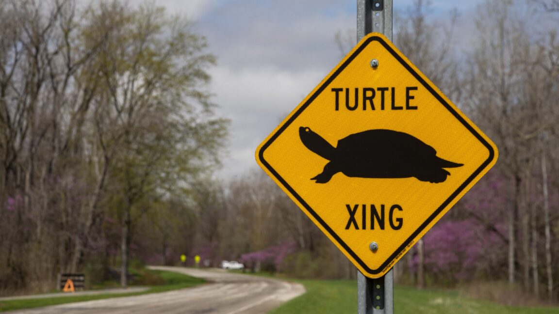 FCC abolishes gigabit speed goal 图片 1