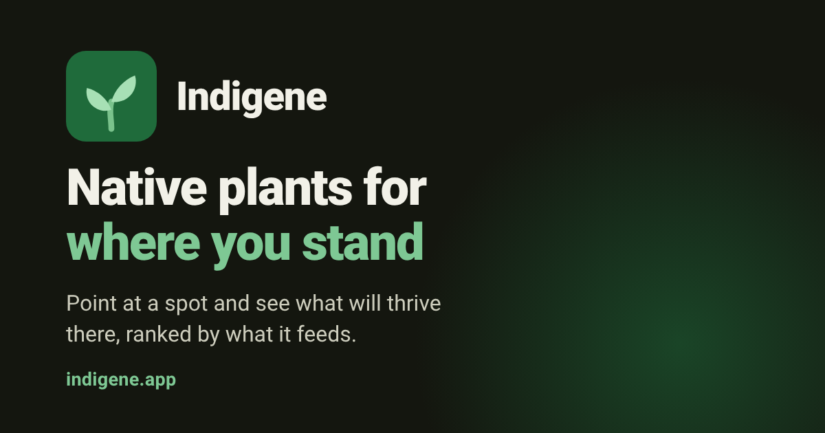 Indigene——站在你所在之地的本土植物 图片 1