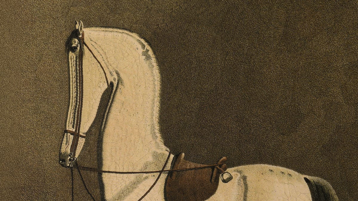 How much faster could racehorses get? 图片 1