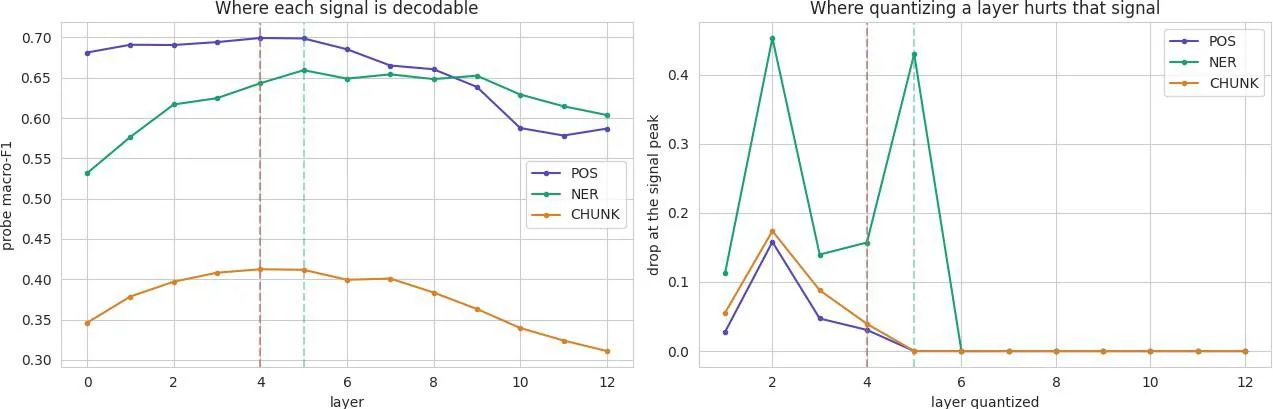Linear probes tell you where quantization will hurt 图片 1