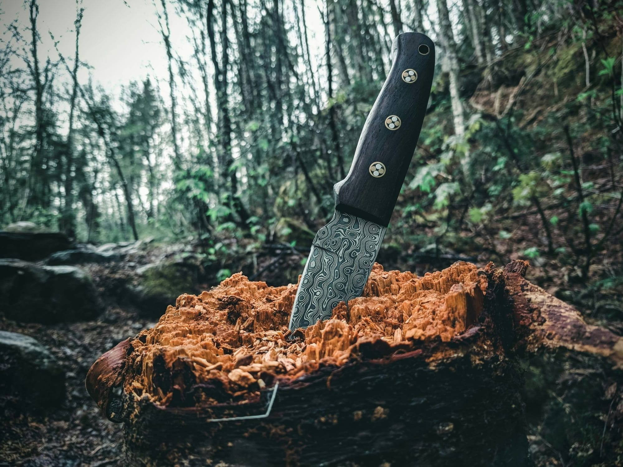 Srsly Risky Biz: Knives Are Out For Open-Weight AI Models 图片 1