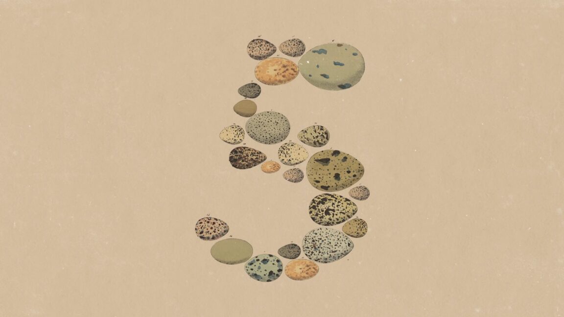 Anthropic's Opus 5 is about token efficiency, not a capability leap 图片 1