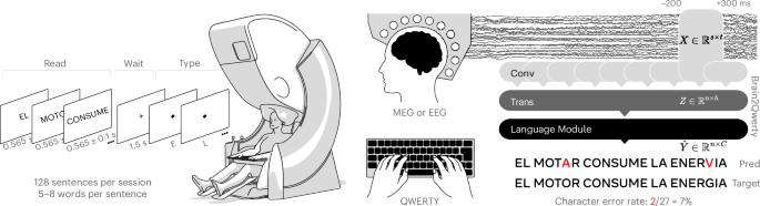 Noninvasive decoding of typed sentences from human brain activity 图片 1