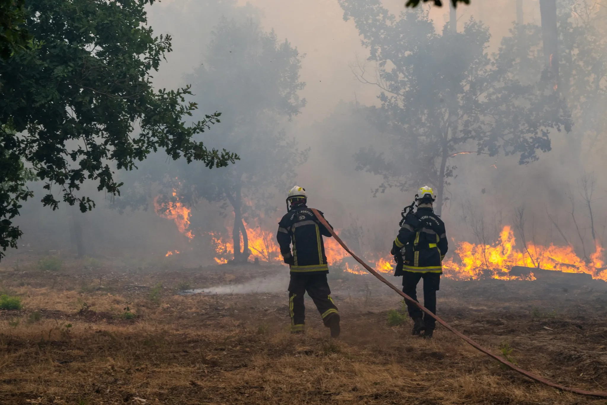 France deploys giant military cargo plane to dump tons of flame retardants as European wildfires displace more than 250,000 图片 1