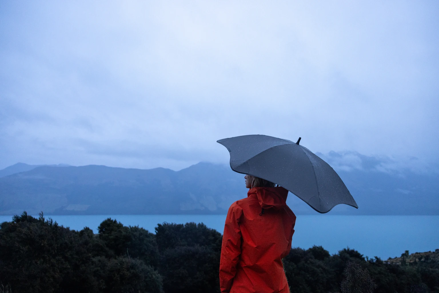 Enliven Therapeutics: Continuing The Pop Off; What Could Go Wrong? 图片 1