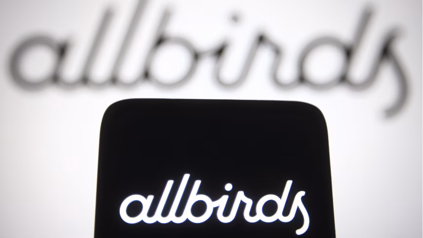 Allbirds sells its shoes, renames itself Smartbird, and says it is now an AI infrastructure company 图片 1