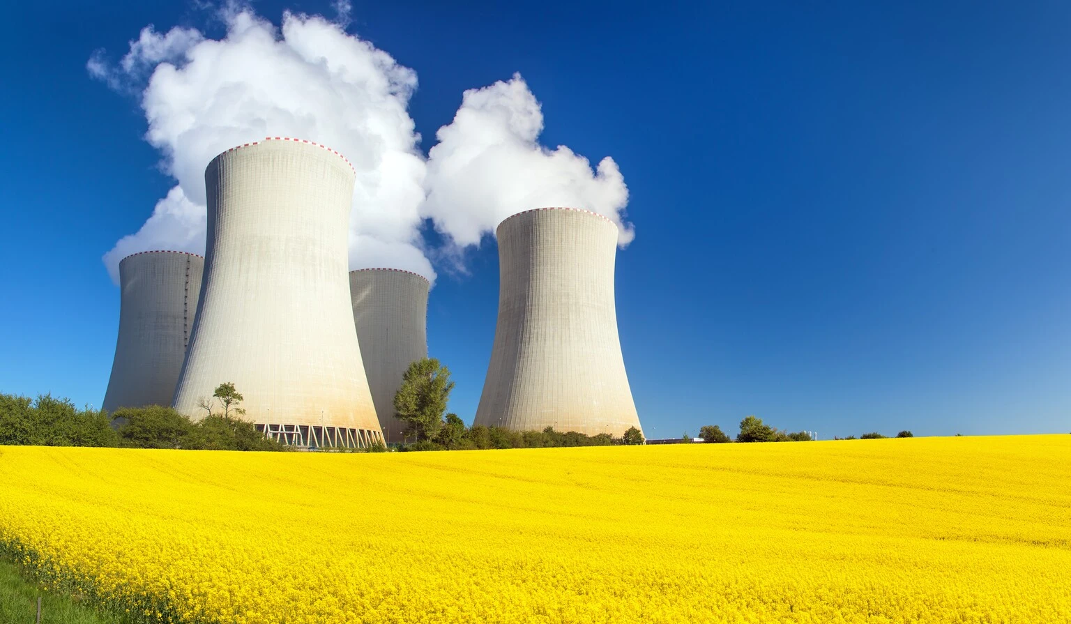Duke Energy Aims To Manage Large Energy Project Risks By Courting Tech Companies 图片 1