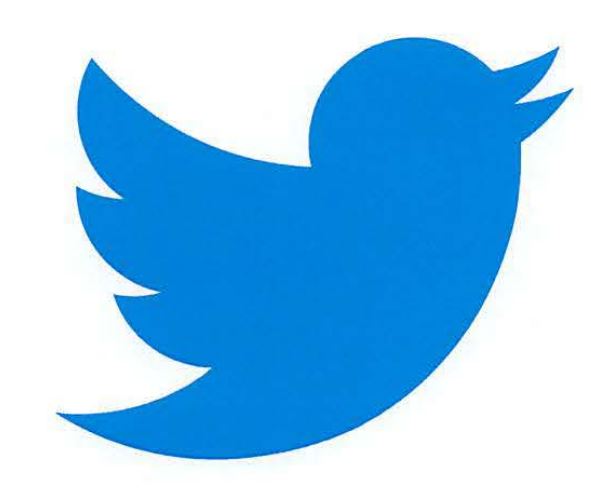 "Tweet" and the bird logo apparently enter the public domain 图片 1
