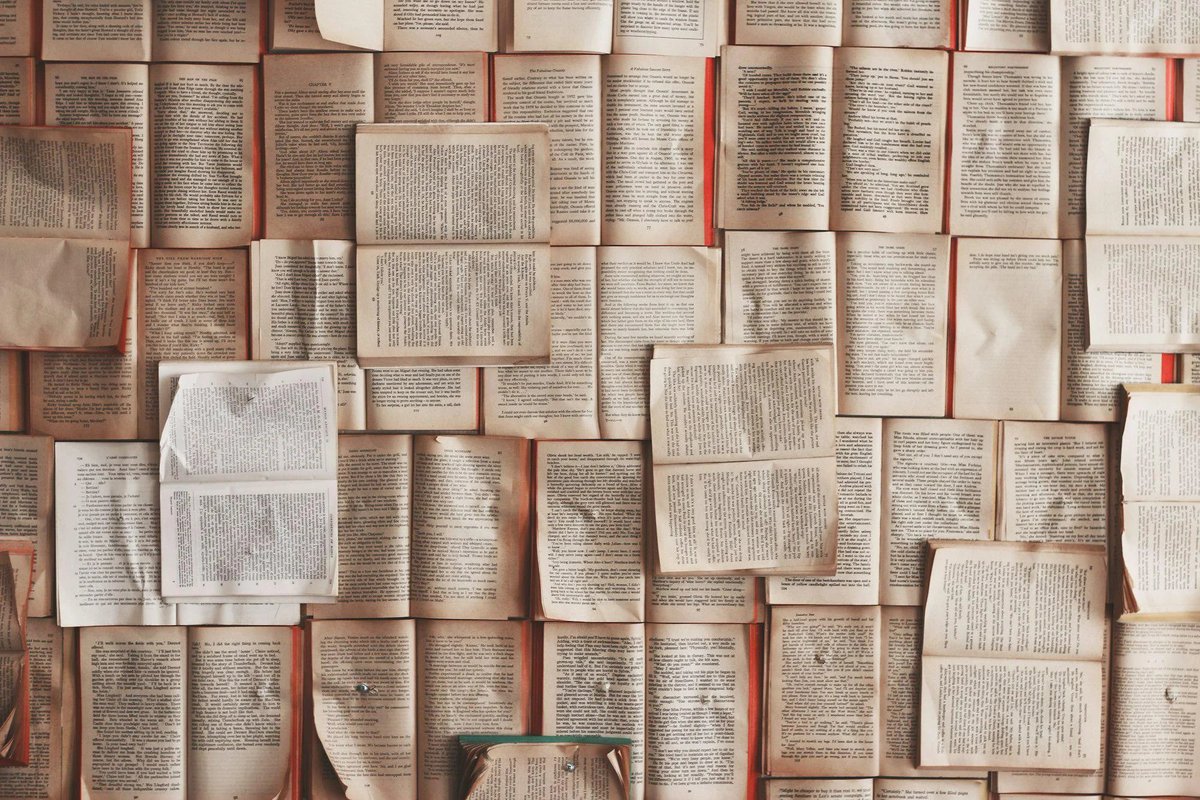 AI companies are shredding rare books 图片 1