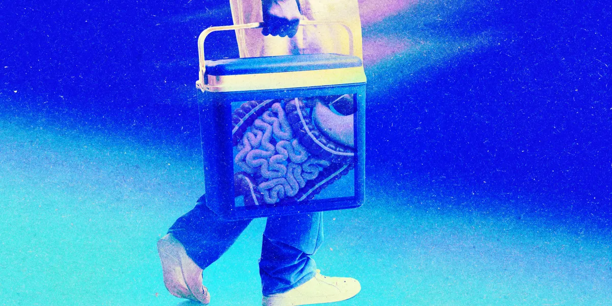 The quest to keep organs alive outside the body 图片 1