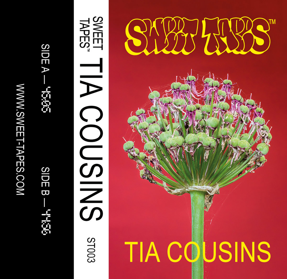 The Outsider Sound Of Tia Cousins – Interview By John Matthews 图片 1