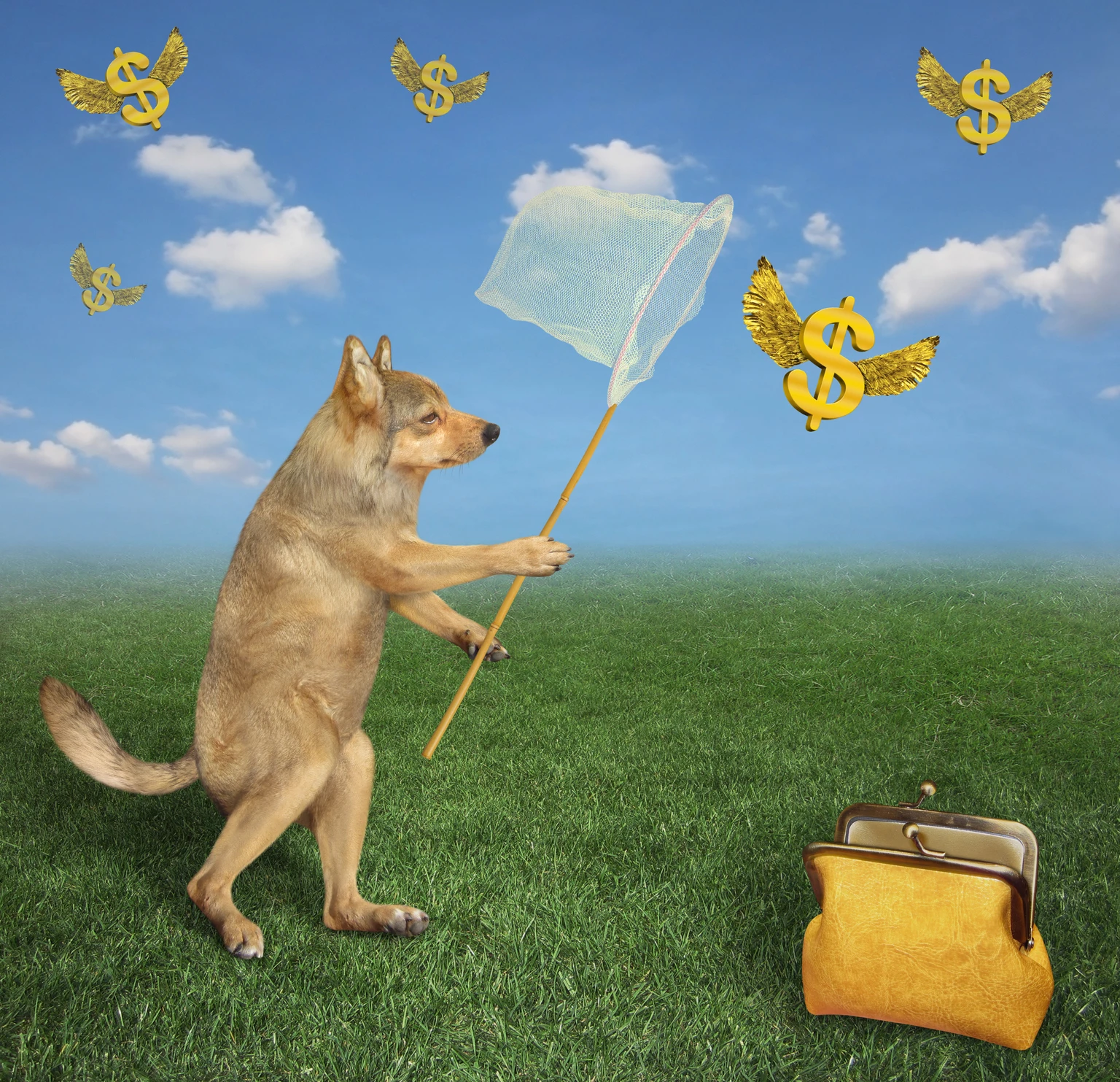 Monthly-Paid Dividends: 25 Ideal 'Safer' June Dogs Ready To Buy 图片 1
