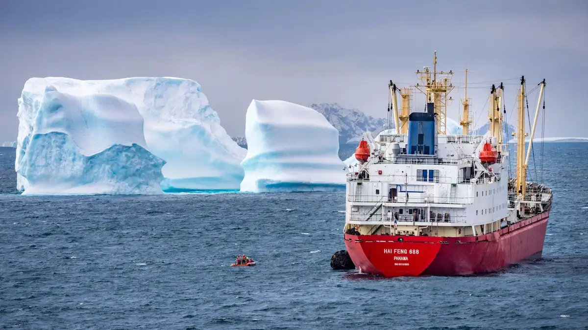 Supertrawlers Are Taking Antarctic Krill That Whales Depend On 图片 1