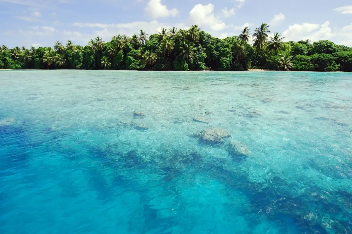 To Restore an Island Paradise, Add Fungi 图片 1