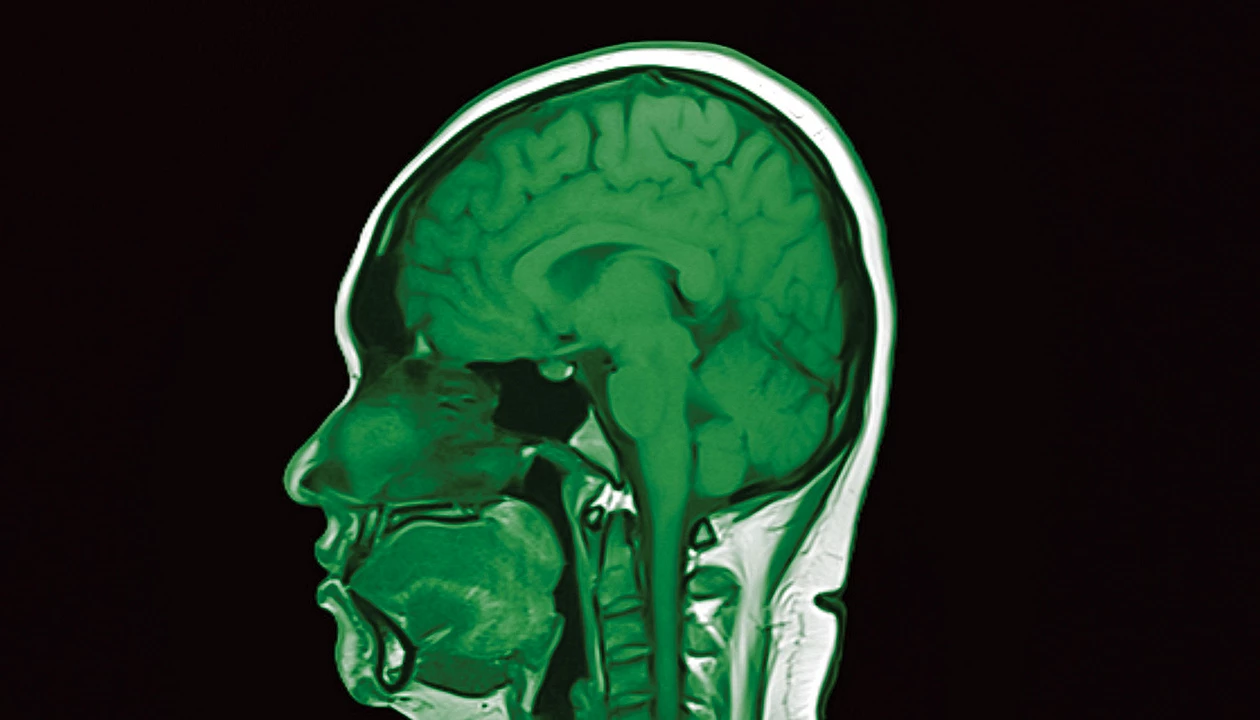First human trials of designer protein therapies stun US neuroscientists 图片 1