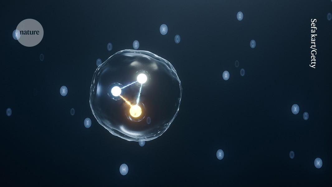 A particle made of force: physicists say they've found mysterious 'glueball' 图片 1