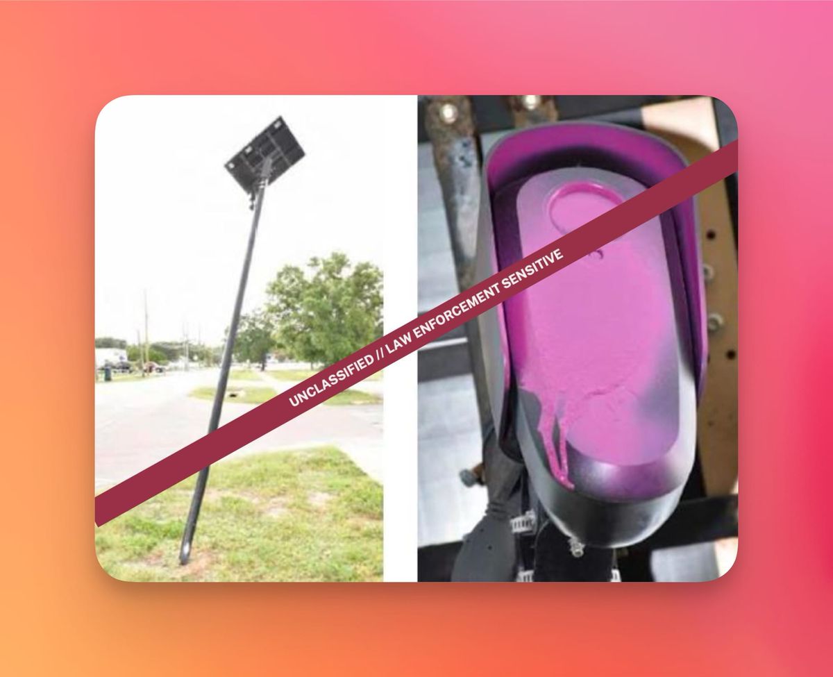 The Government Is Monitoring Anti-Flock TikTok and Instagram Accounts 图片 1