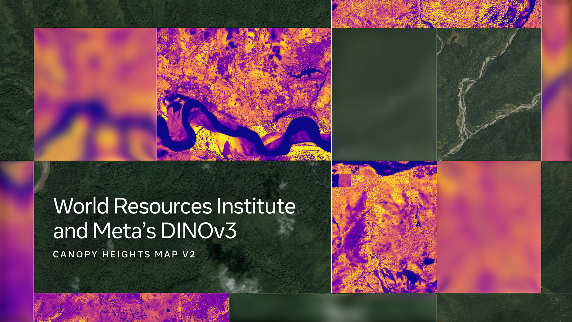 Canopy Height Maps v2 图片 1